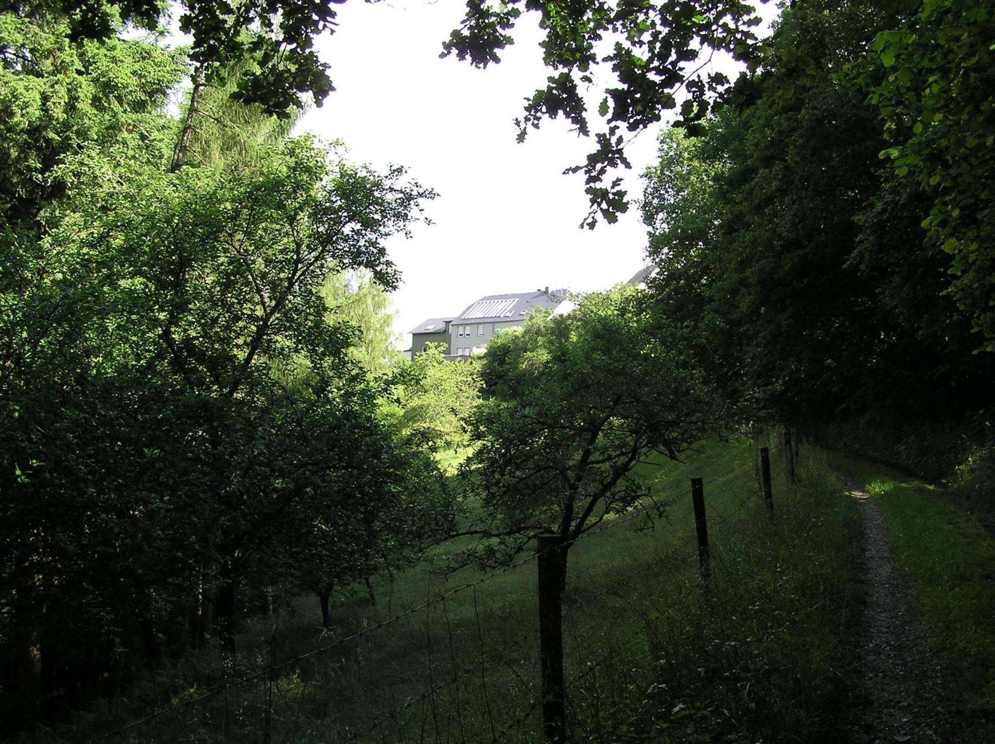 Ferienwohnung Nisius Geisfeld  Luaran gambar